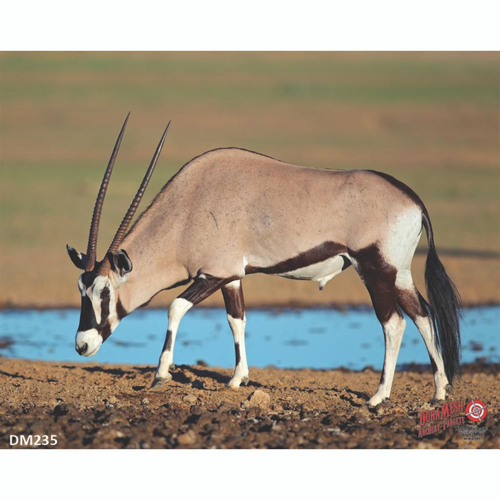 Western Recreation Duramesh Archery Target Gemsbuck 25 In. X 32 In. 