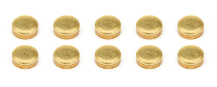 Expansion Plugs 10pk - Brass 1-3/8 Dia