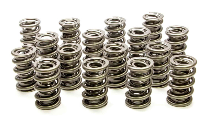 1.564 Dual Valve Springs (16)