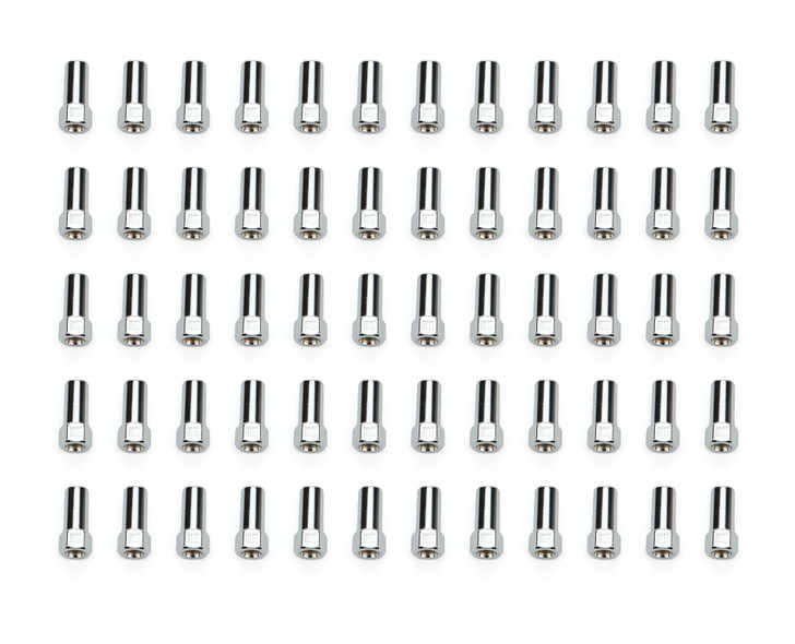 60 Lugnuts SST OE LUG 13/16in 1/2 C