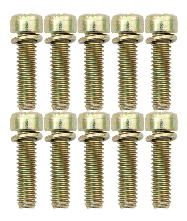 Throttle Body Screws (10pk)
