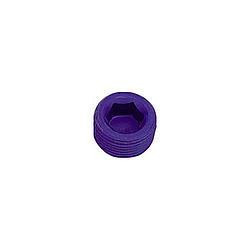 XRP-XTREME RACING PROD. 1/8in Allen Head Pipe Plug (2pk) 