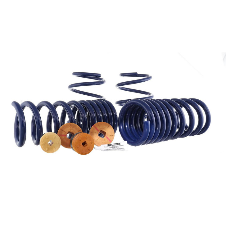 FORD Track Lowering Spring Kit 15-23 Mustang 