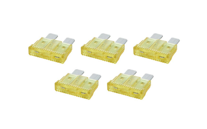 ALLSTAR PERFORMANCE ATC/ATO Fuse 20 Amp 5pk 
