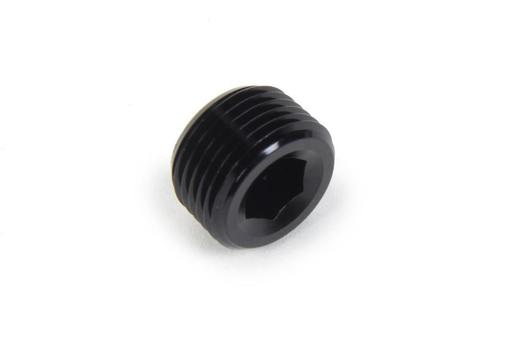 TRIPLE X RACE COMPONENTS NPT Allen Plug 3/8 