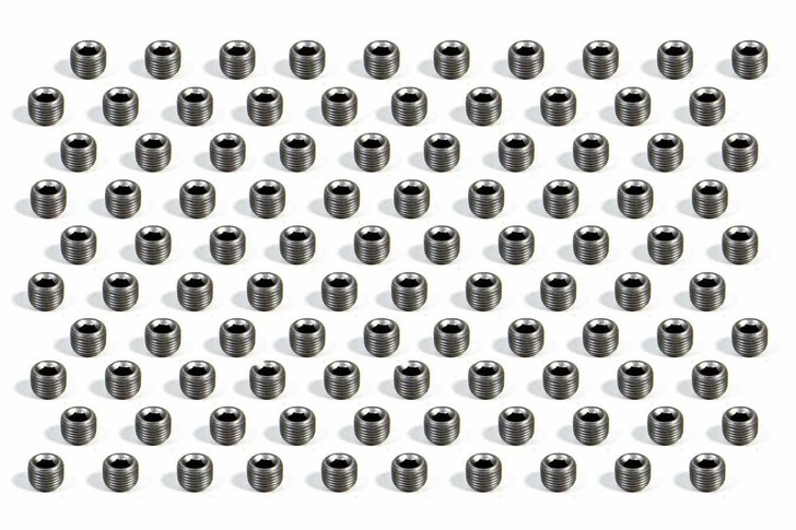 Pioneer Pipe Plug - 1/8 (100) 