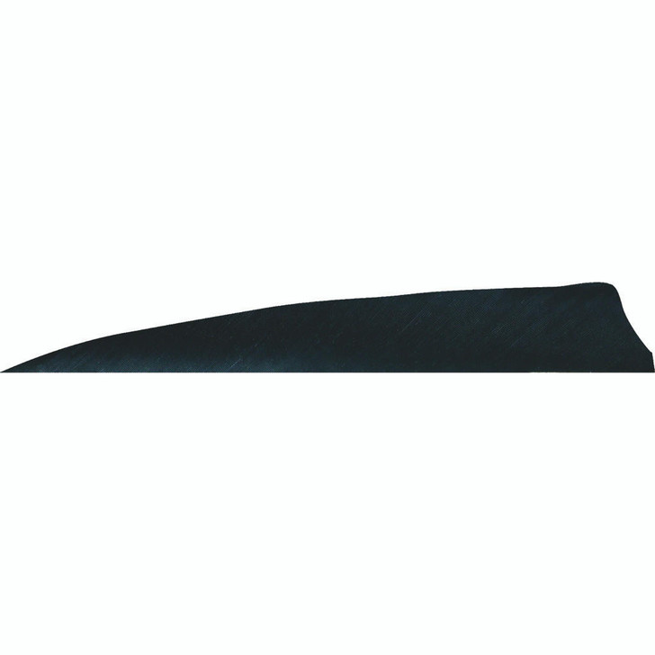 Gateway Shield Cut Feathers Black 4 In Lw 50 Pk