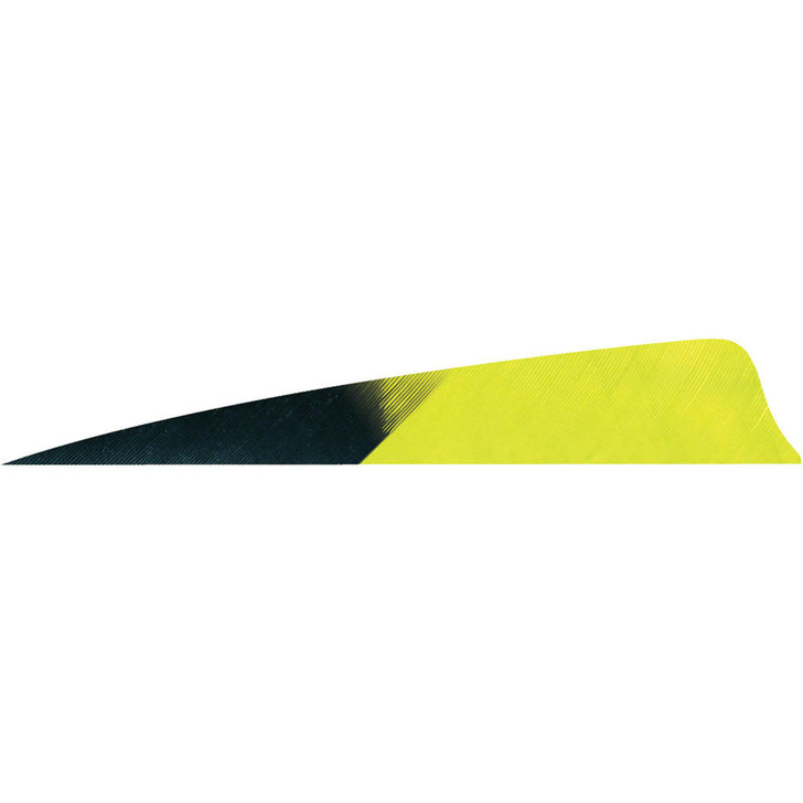 Gateway Shield Cut Feathers Kuro Lemon Lime 4 In Lw 50 Pk