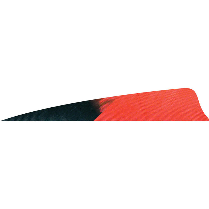 Gateway Shield Cut Feathers Kuro Red 4 In Lw 50 Pk