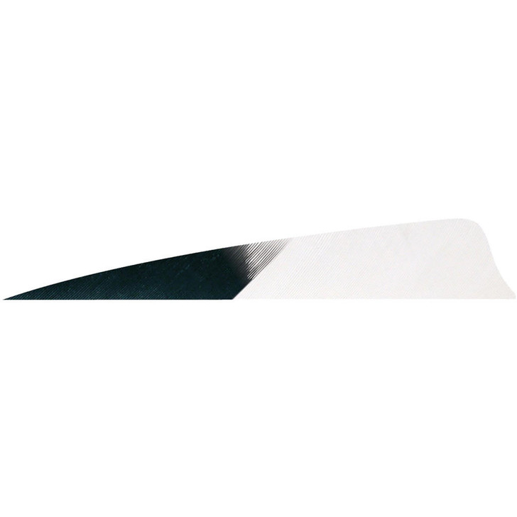 Gateway Shield Cut Feathers Kuro White 4 In Lw 50 Pk