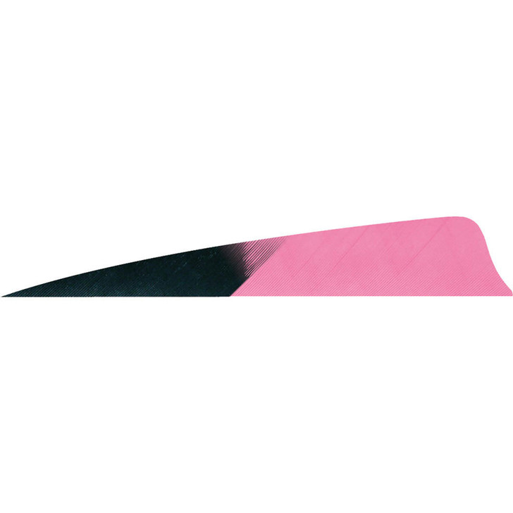 Gateway Shield Cut Feathers Kuru Flo Pink 4 In Rw 50 Pk