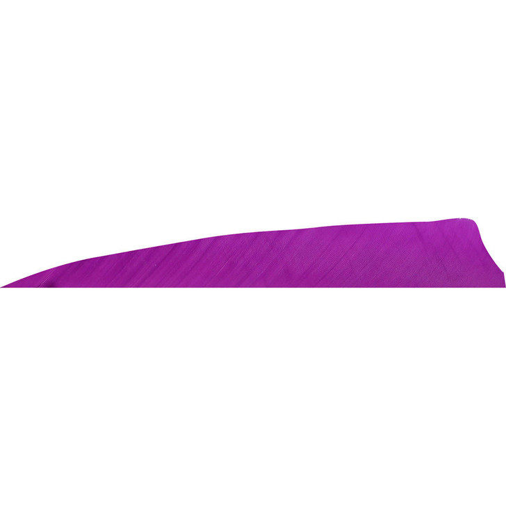 Gateway Shield Cut Feathers Purple 4 In Rw 50 Pk
