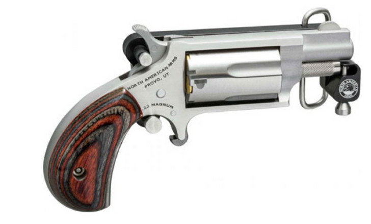 Naa Mini Rev 22lr 1 1/8" 5rd W/skelt