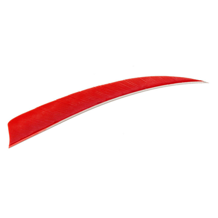 Trueflight Shield Cut Feathers Red 5 In Lw 100 Pk