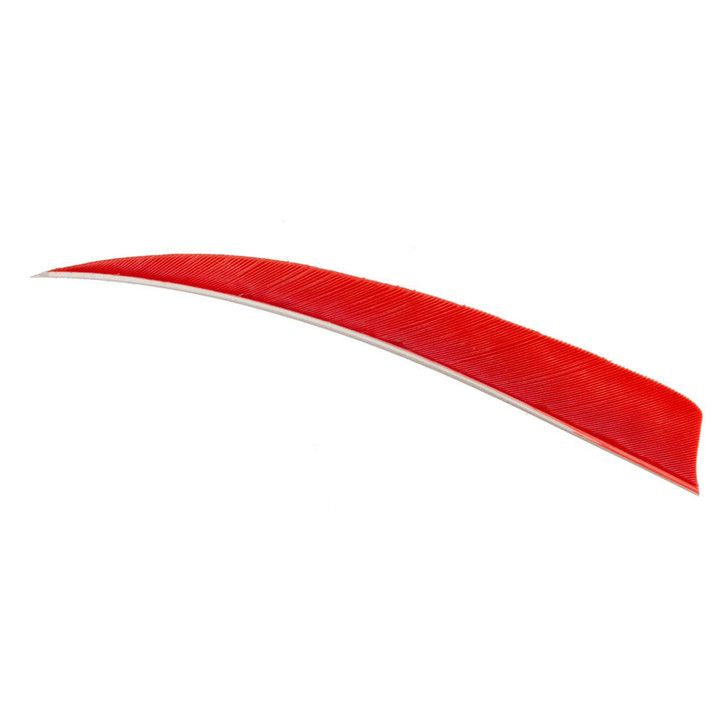 Trueflight Shield Cut Feathers Red 4 In Rw 100 Pk
