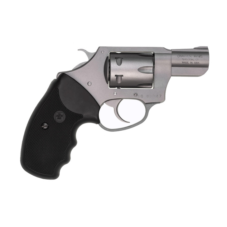 Charter Arms Pathfinder 22wmr Slv 2