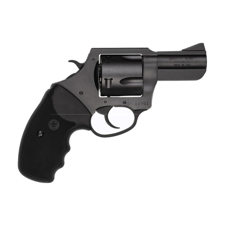  Charter Arms Pitbull 45acp 2.5" 5rd 