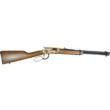  Rossi Riobravo 22lr 18" 15-Round Rifle 