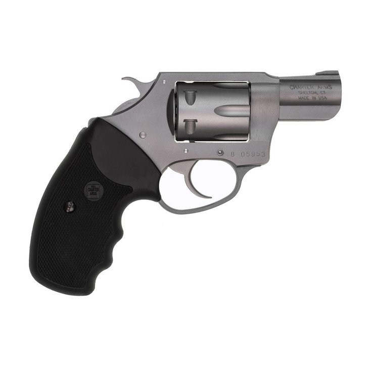  Charter Arms Pathfinder 22lr Silv 2 