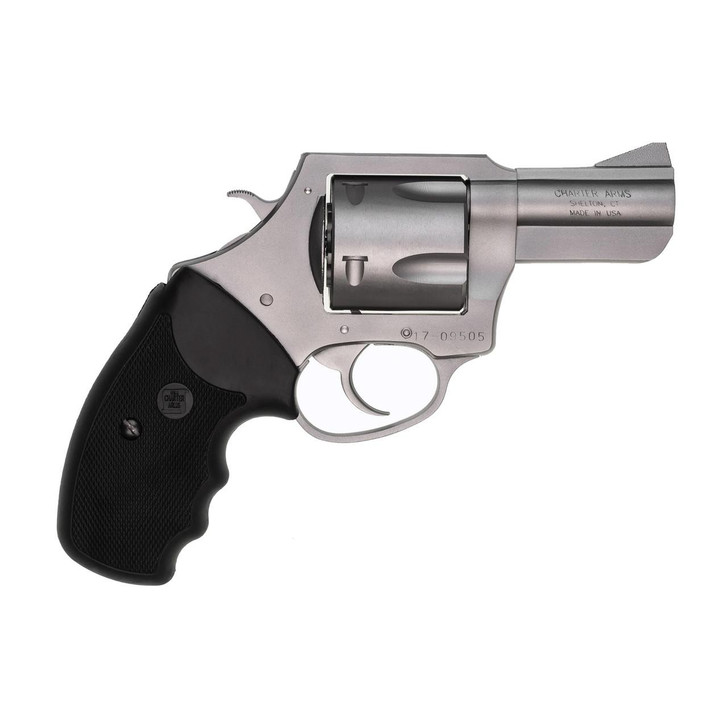  Charter Arms Pitbull 45acp 2.5" Sts 