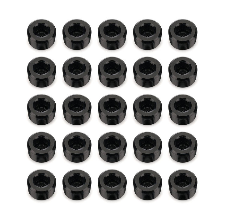REDHORSE PERFORMANCE 3/8in NPT Socket Head Pipe Plug 25/pkg Black 
