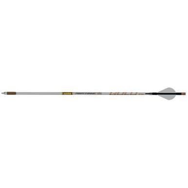  Gold Tip Airstrike Arrows 250 Raptor Vanes 6 Pk. 