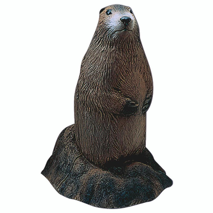 Delta Mckenzie Backyard 3d Target Woodchuck 