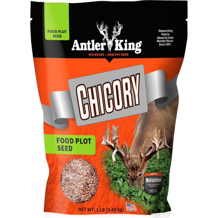  Antler King Chicory Seed 1/4 Acre 