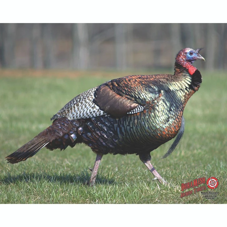  Duramesh Archery Target Turkey 25 In. X 32 In. 