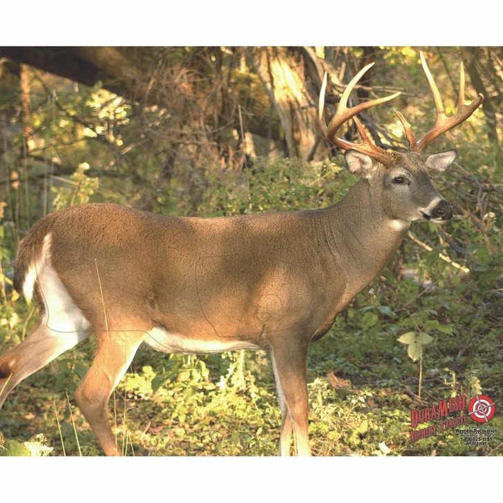  Duramesh Archery Target Whitetail 3 25 In. X 32 In. 