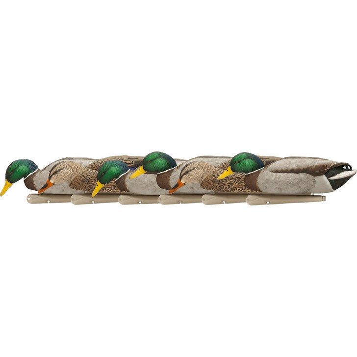 Avian X Avianx Top Flight Duck Decoys Backwater Mallards 6 Pk. 