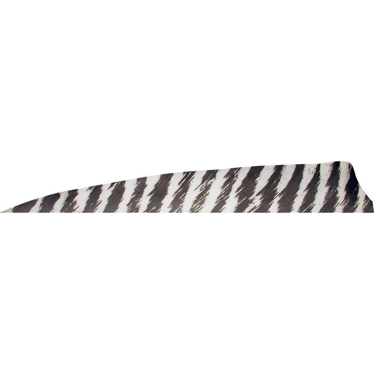  Gateway Shield Cut Feathers Barred White 4 In. Rw 50 Pk. 