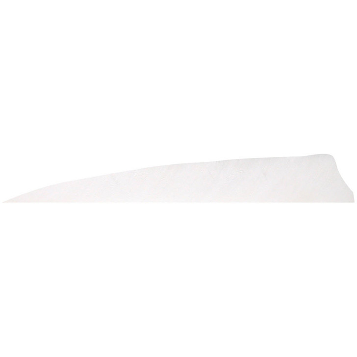  Gateway Shield Cut Feathers White 4 In. Rw 100 Pk. 