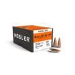 Nosler Bullets 22 Cal .224 - 40gr Ballistic Tip 100ct