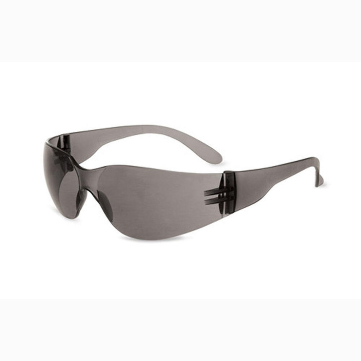 Howard Leight Uvex Xv108 Eye Protection - Gray Frame, Gray Lens, Uncoated 
