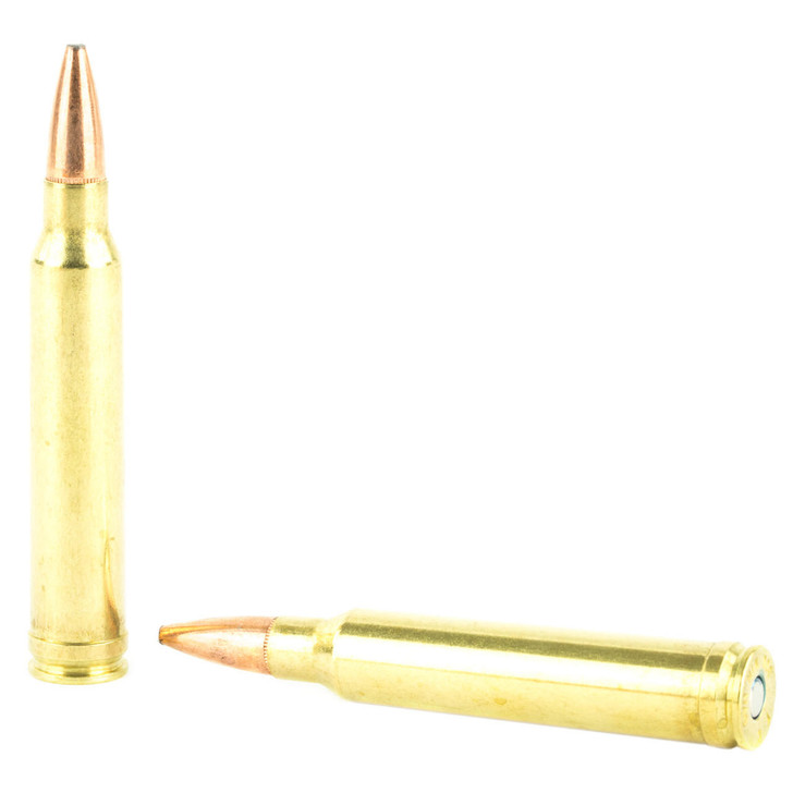 Federal Fusion 300win 165gr 20/200 