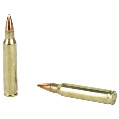 bleTap Ammunition 223rem 62gr Schp 20/1000 Ammo