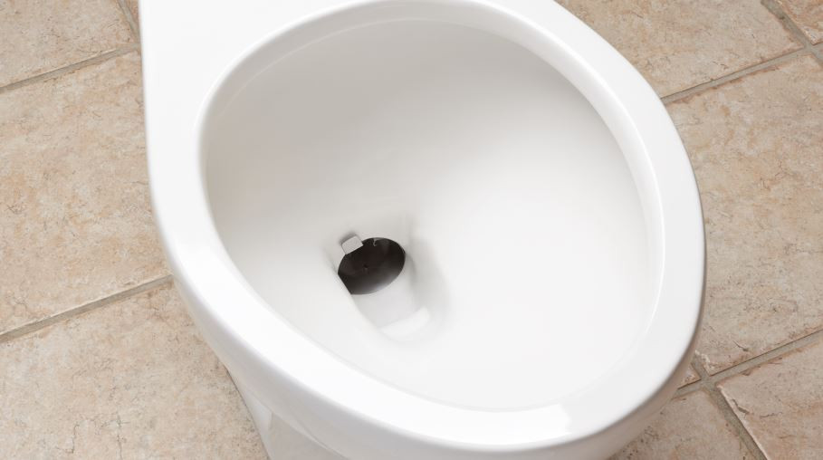 Traptex ® Plumbing Protection System - Toilet Guard