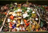 How the Food Waste Digester can reduce food waste