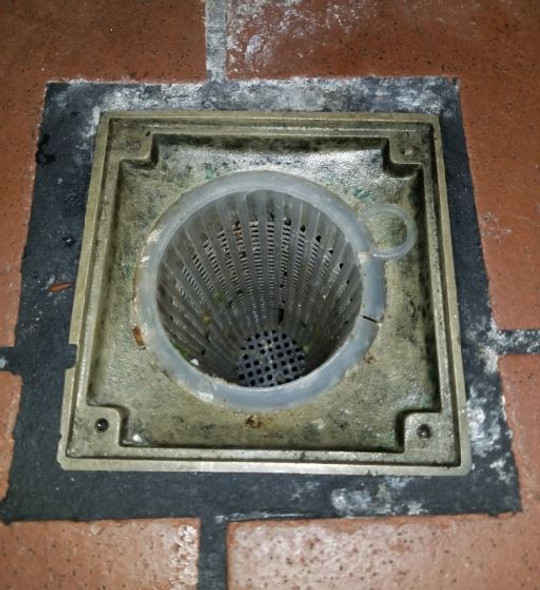 Restaurant drain solids protection