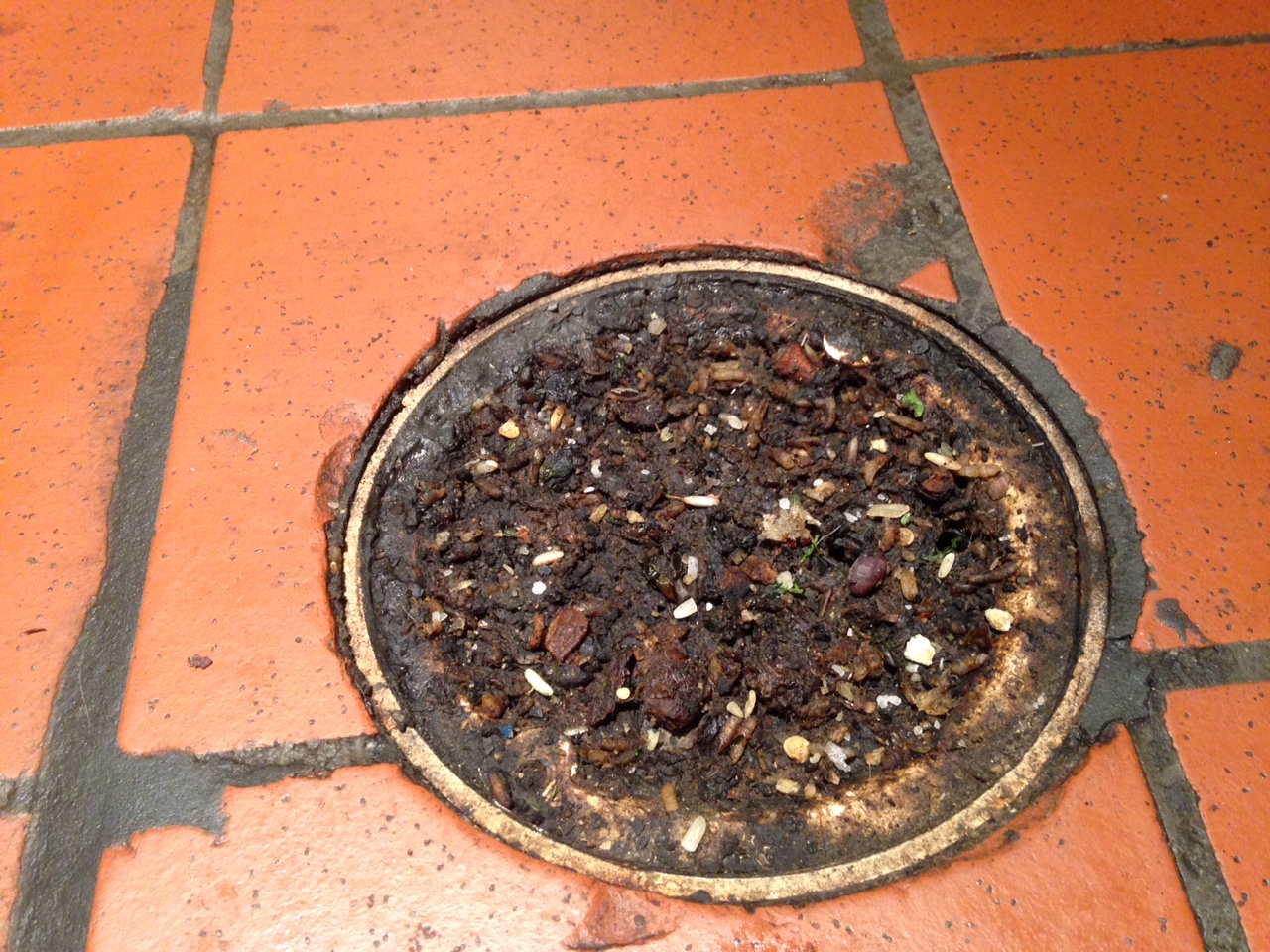 Clogged Restaurant Drains Technologies