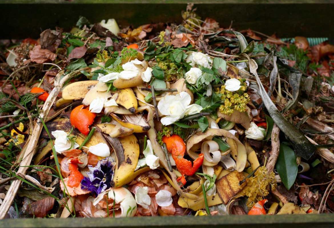 How the Food Waste Digester can reduce food waste Technologies