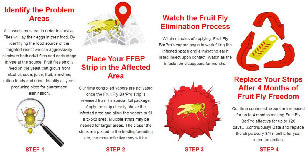 Fruit Fly Vapor Strip