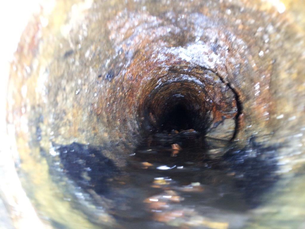 drain line inspection