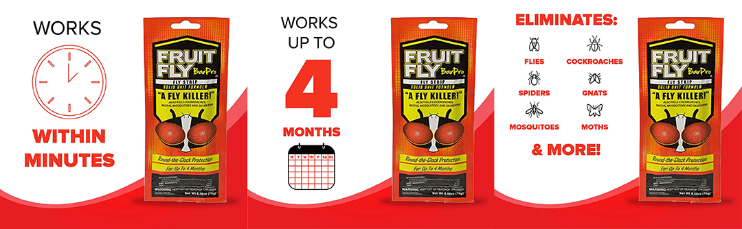 Fruit Fly Bar Pro eliminates flies cockroaches and more