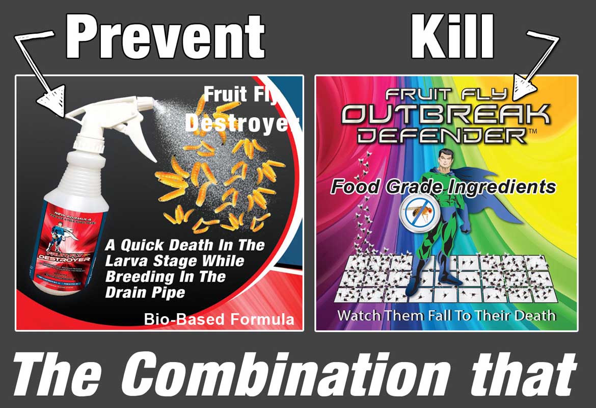 How to stop Fruit Flies with Drain Defender Technologies