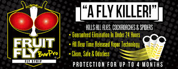 Fruit Fly Bar Pro eliminates infestations 