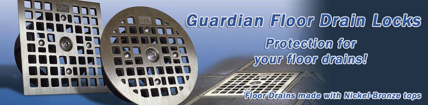 guardian-d-lock-banner2b.jpg