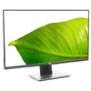 Dell P2421D 24" Widescreen 2560x1440 16:9 QHD IPS LED LCD Monitor HDMI DisplayPort - Grade B