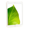 Apple iPad 6th Gen Gold 9.7" 32GB Wi-Fi / Cellular Touchscreen Tablet MRM52LL/A MR6Y2LL/A (2018) A1954 - Grade B